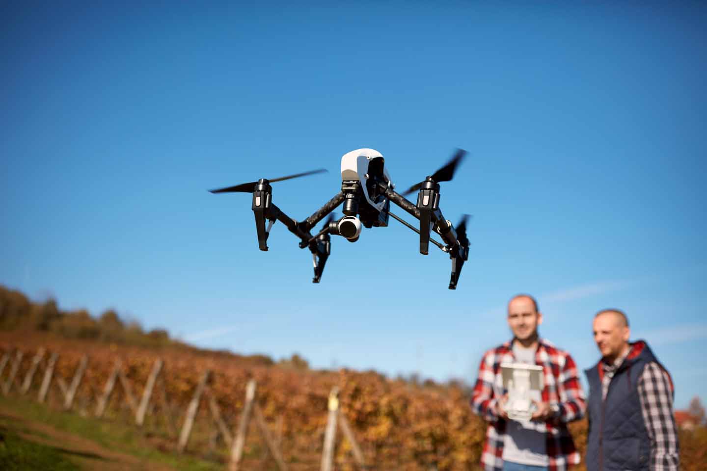 Zwei Männer starten eine Drohne in einem Weinberg.