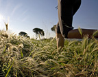 Fitness & Gesundheit