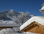 Schneelast
