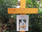 Tierfriedhof