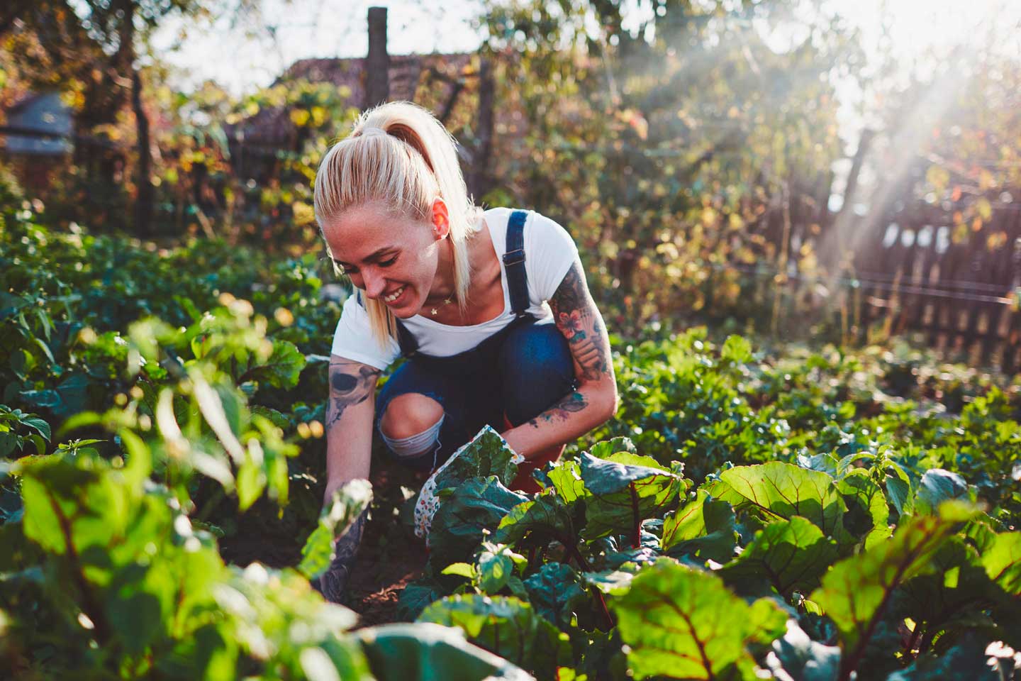 Lachende Frau mit Tatoos bei der Ernte im Gemüsegarten.