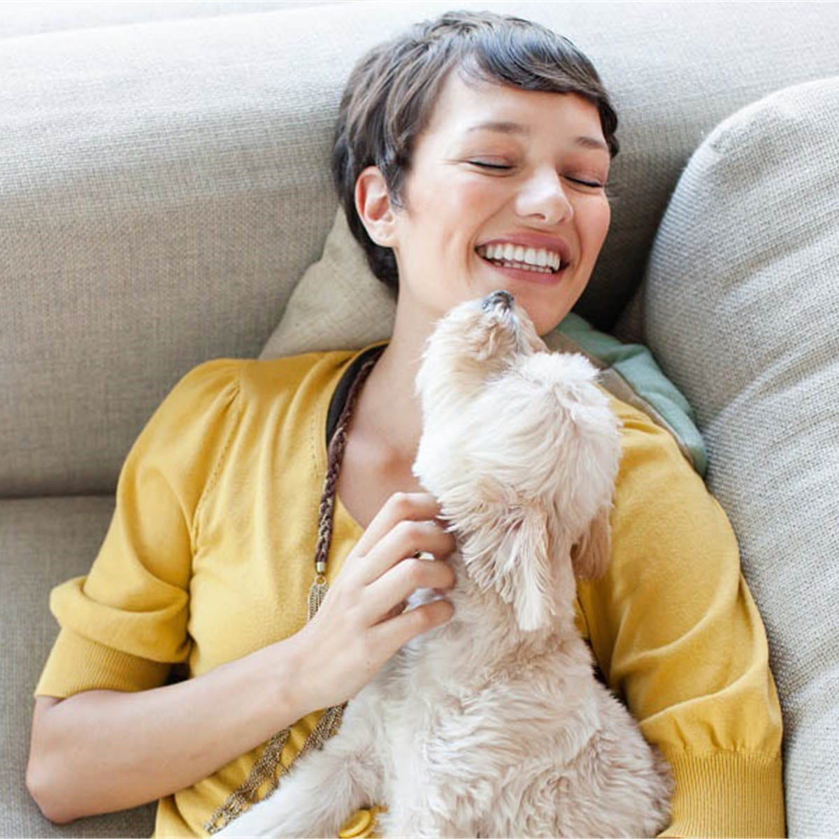 Hundehaftpflicht Fur Hundehalter I Ergo Ergo