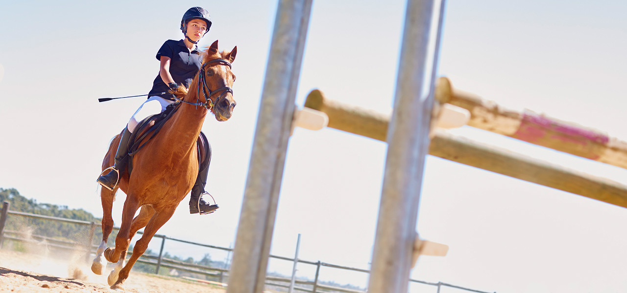 Pferdehaftpflichtversicherung für Reiter und Kutschenbesitzer