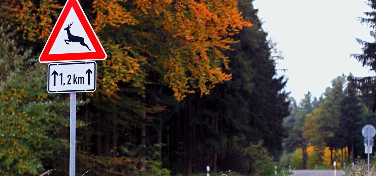 Warnschild am Waldrand: Achtung, Wildwechsel auf den nächsten 1,2 Kilometern.
