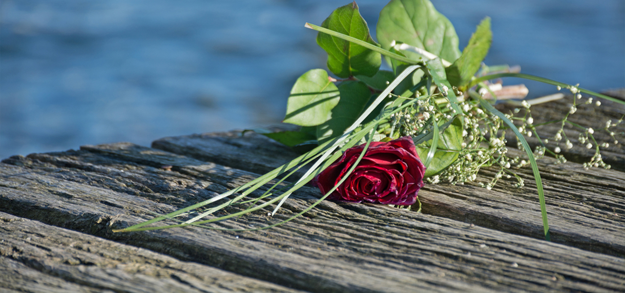 Eine Rose mit Schleierkraut liegt auf einem Holzsteg, dahinter schimmert Wasser.
