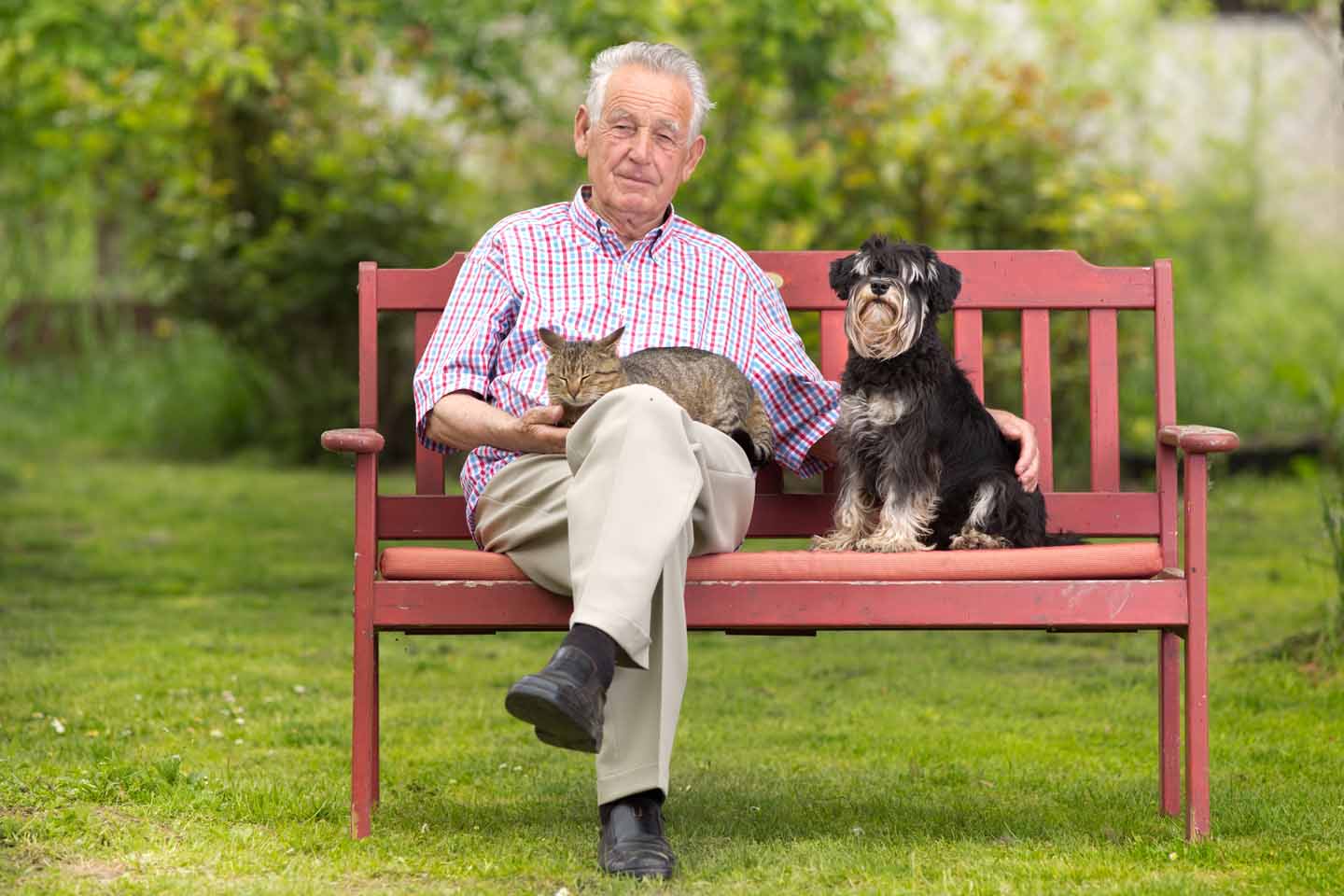 Ein älterer Mann sitzt mit einem Hund und einer Katze auf einer roten Bank. Er streichelt beide.