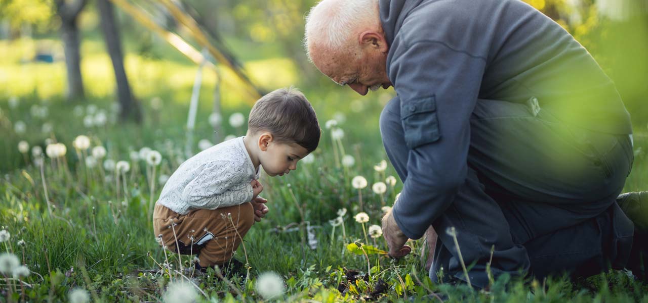 Ein Opa und sein Enkel betrachten gemeinsam eine Pusteblume. 