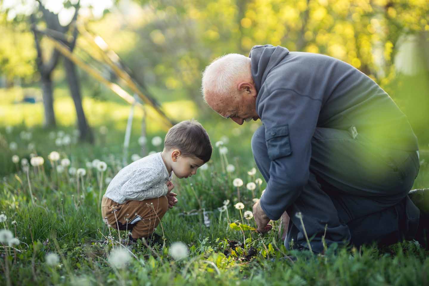 Ein Opa und sein Enkel betrachten gemeinsam eine Pusteblume. 