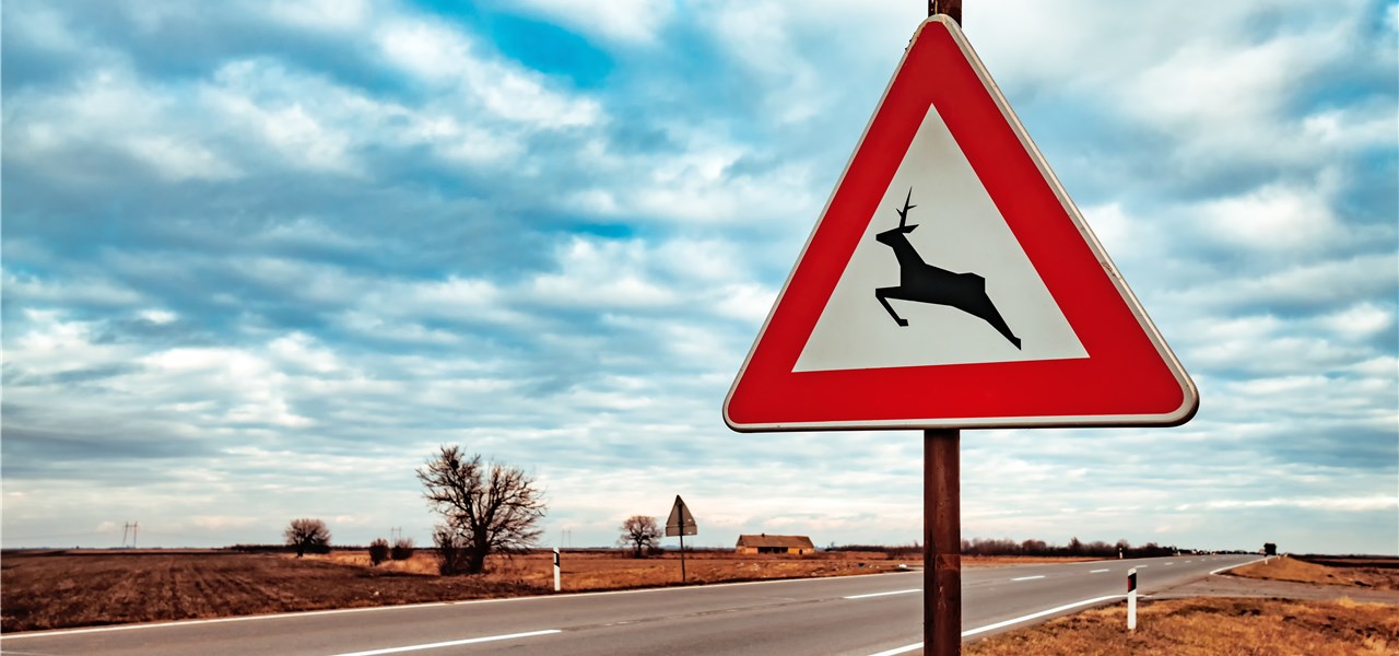 Das Schild "Achtung, Wildwechsel" steht an einer Straße im Nirgendwo.