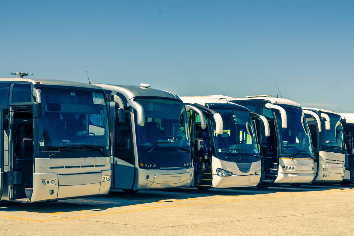 Eine Reihe von Reisebussen.