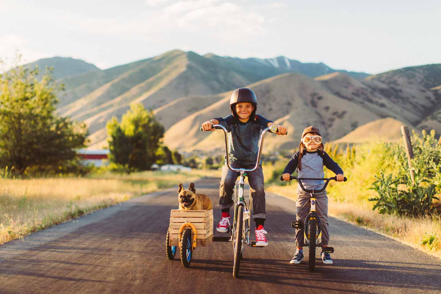 Ein Junge auf dem Fahrrad mit Beiwagen, in dem ein Hund sitzt, fährt neben einem anderen Jungen her.