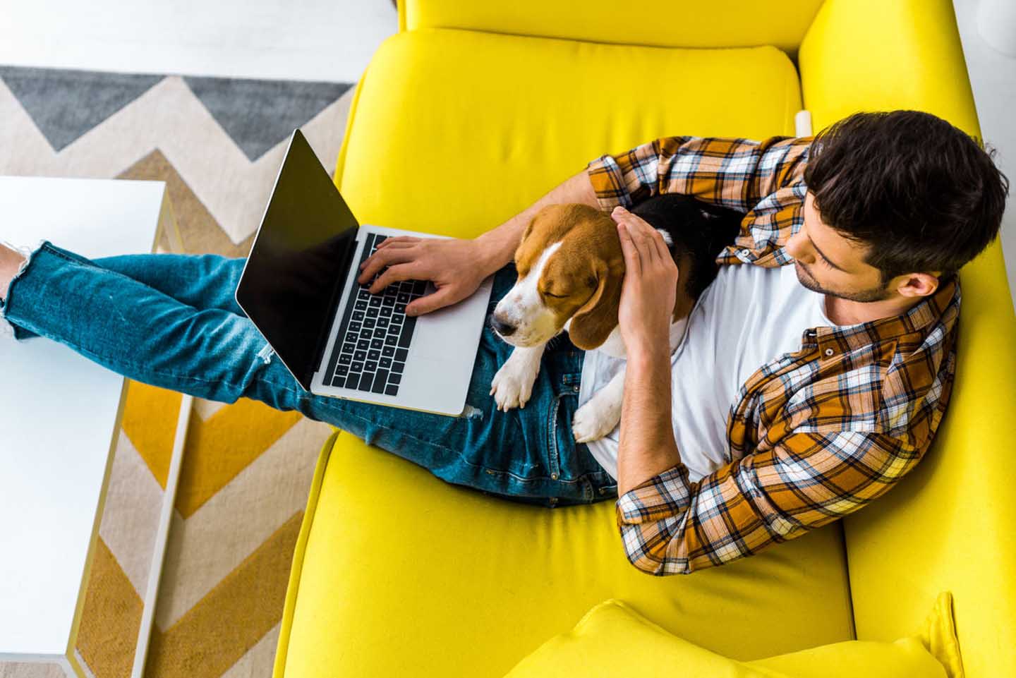 Ein Mann sitzt bequem auf dem Sofa mit Laptop und Hund auf dem Schoß.
