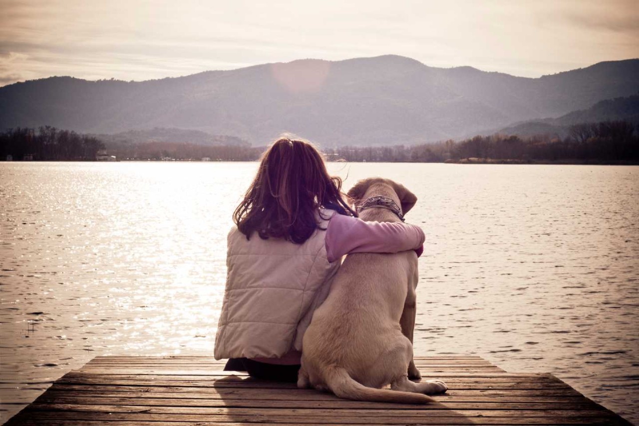 Frau sitzt mit ihrem Hund auf einem Steg und schaut mit ihm aufs Wasser.