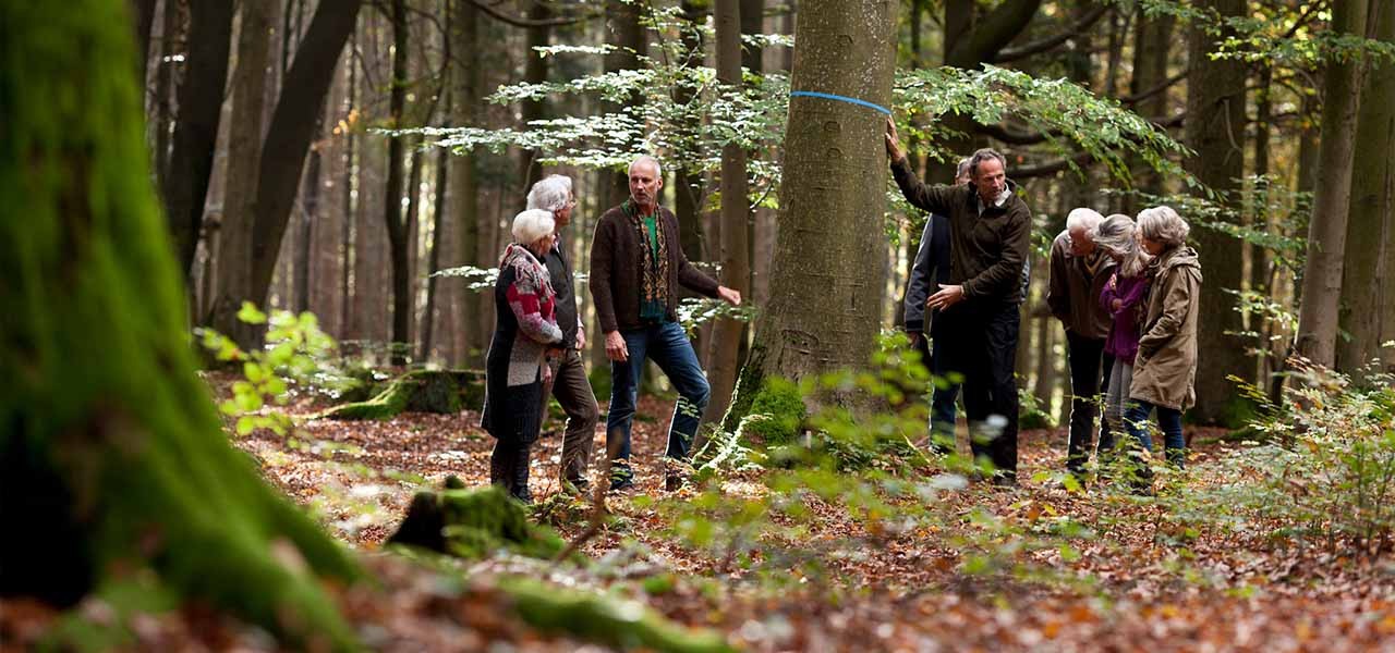 Gruppe von Menschen vor einem Baum
